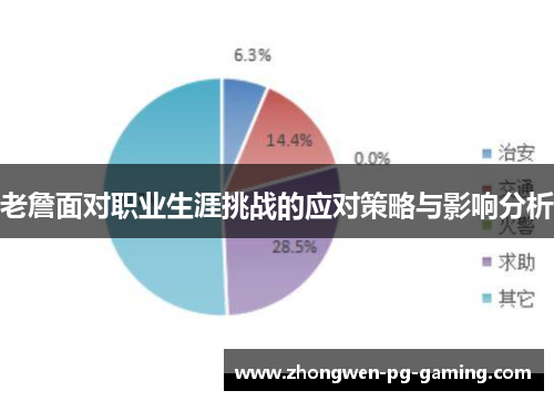 老詹面对职业生涯挑战的应对策略与影响分析