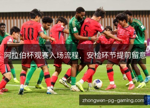 阿拉伯杯观赛入场流程，安检环节提前留意